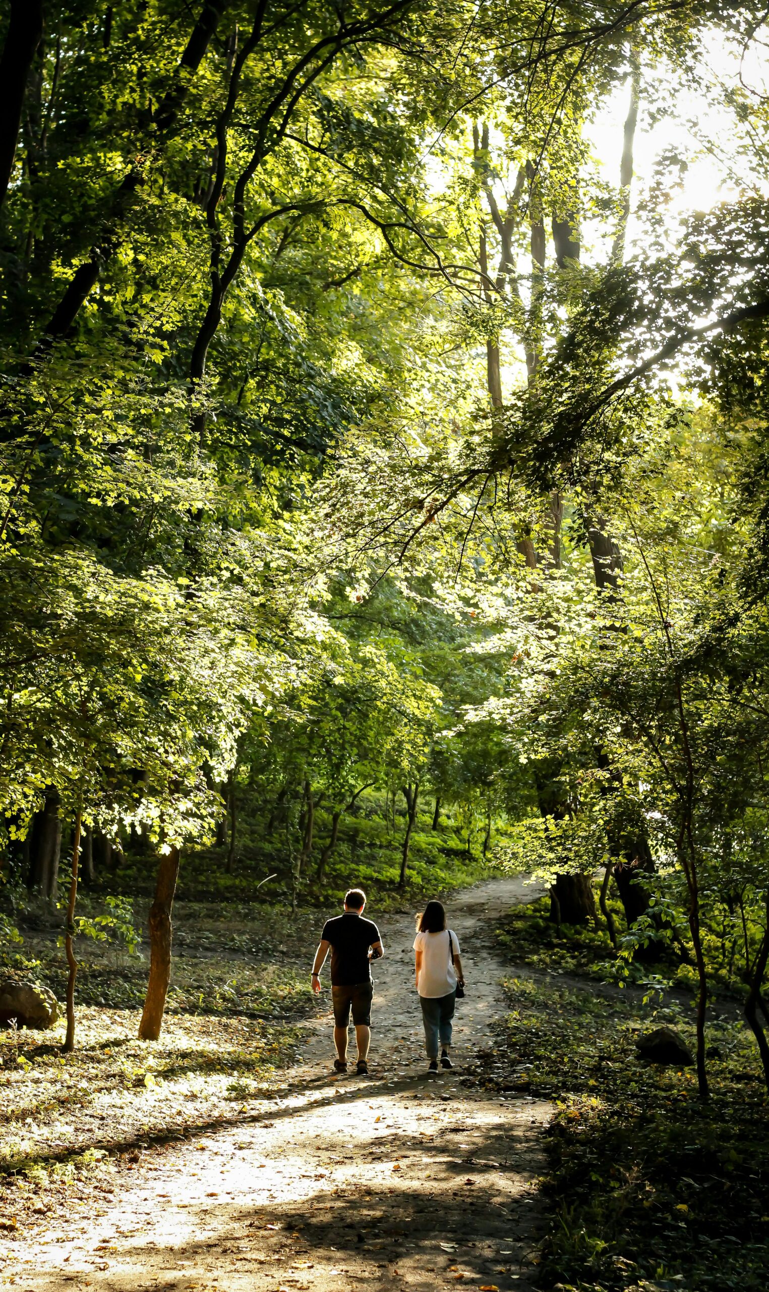 Mind Stewardship: Why Movement is Cognitive Infrastructure